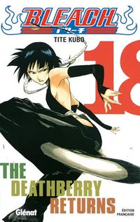 Bleach - Intégrale - Tomes 1 à 74