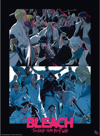 Bleach - Poster Shinigami VS Quincy