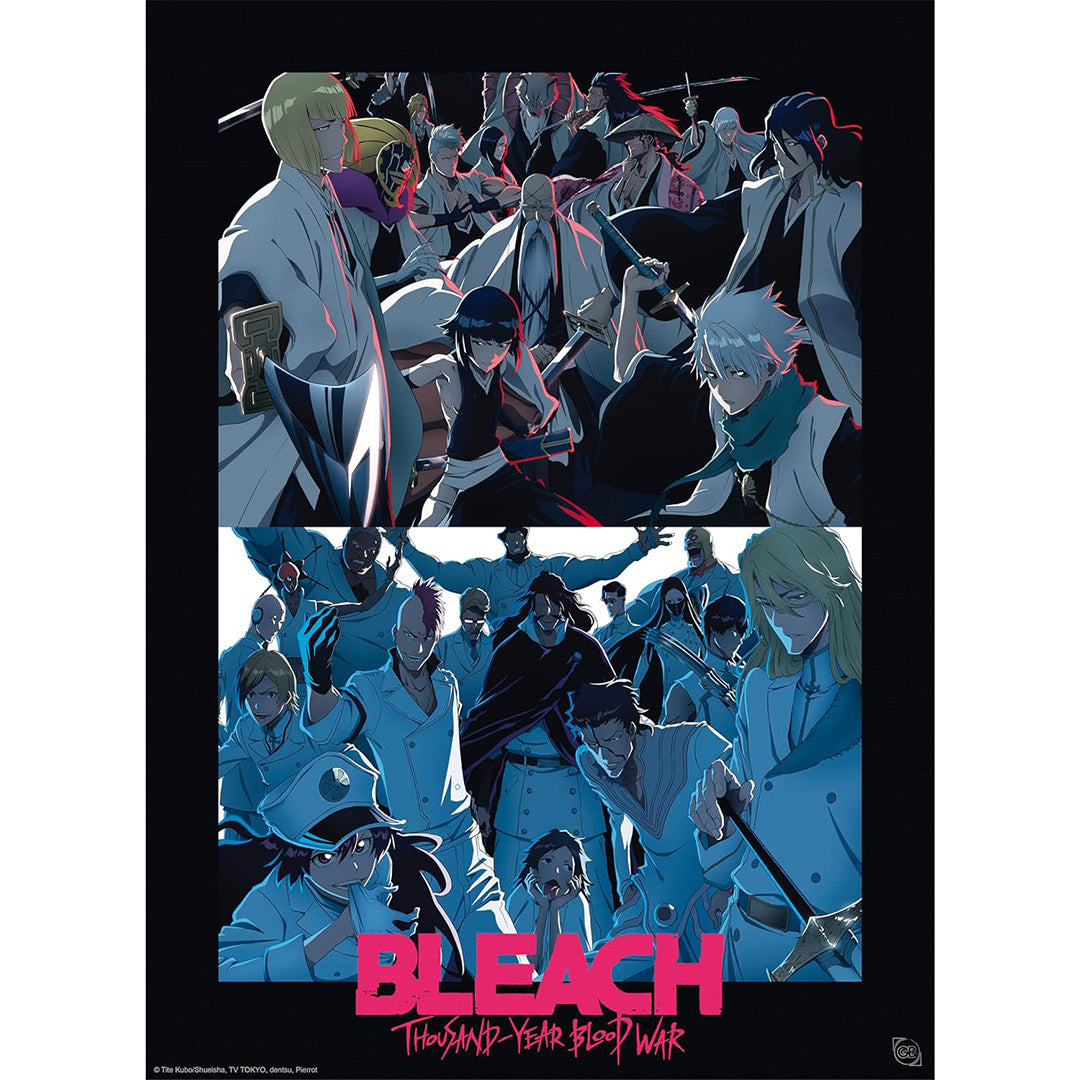 Bleach - Poster Shinigami VS Quincy