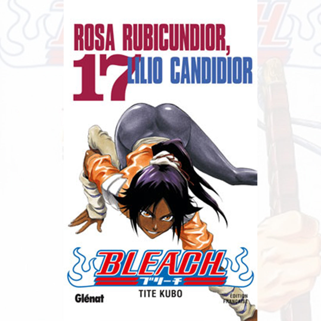 Bleach - Tome 17