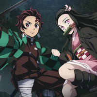 Demon Slayer - Poster - Tanjiro et Nezuko Position de Combat