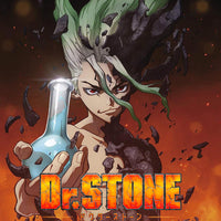 Dr Stone - Intégrale - Tome 1 à 27