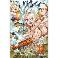 Dr Stone - Tome 12
