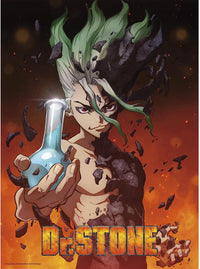 Dr Stone - Poster - Senku