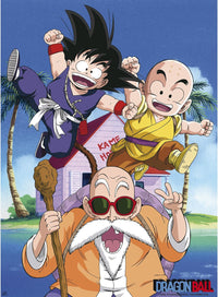 Dragon Ball - Poster - Kame Team