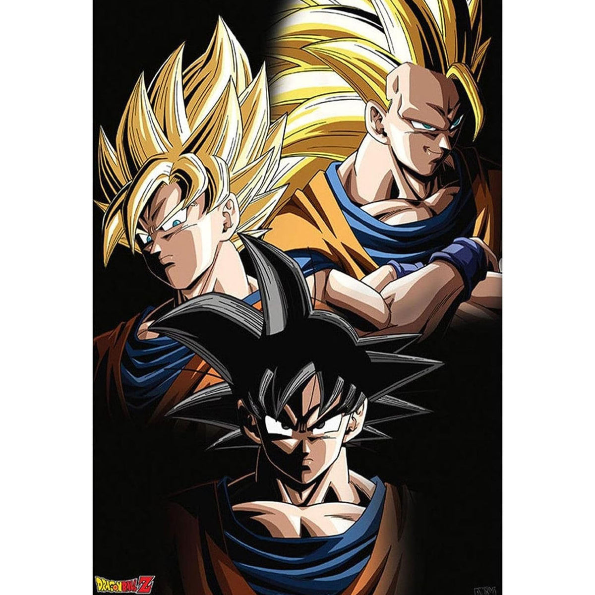 DRAGON BALL Z - Poster - Transformations Goku