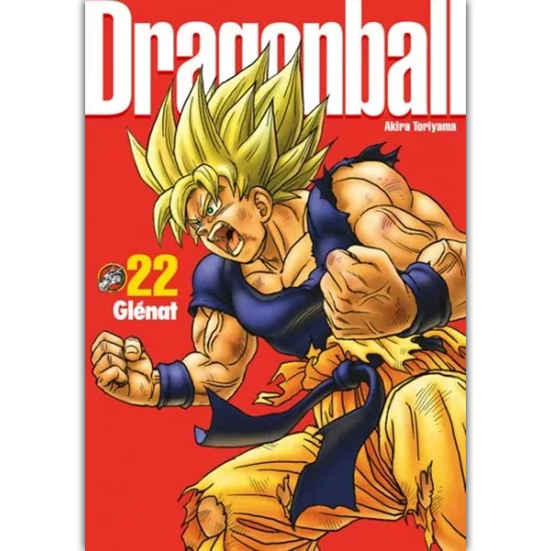 Dragon Ball - Tome 22 - Perfect Édition