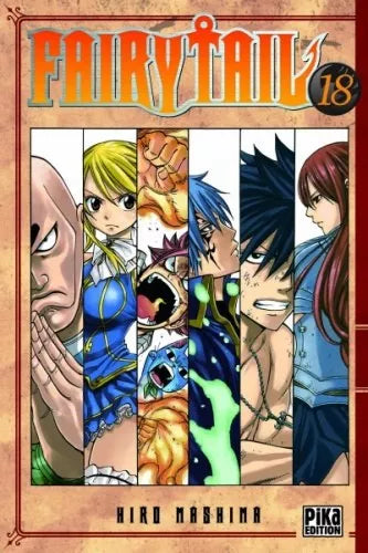 Fairy Tail - Intégrale - Tomes 1 à 63 | Manganim