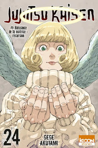 Jujutsu Kaisen - Intégrale - Tomes 1 à 27