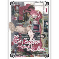 La Sorcière du Château aux Chardons - Tome 01