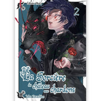 La Sorcière du Château aux Chardons - Tome 02