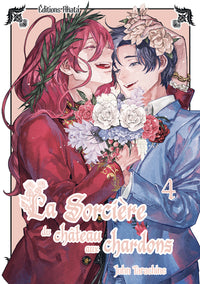 La Sorcière du Château aux Chardons - Tome 04