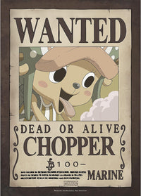 One Piece - Portfolio 9 Posters - Equipage des Mugiwara