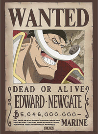 One Piece - Poster - Wanted Barbe Blanche