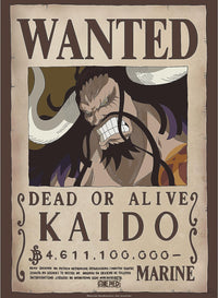 One Piece - Poster Wanted Kaido