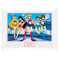 Sailor Moon - Tableau - Sailor Guerrières