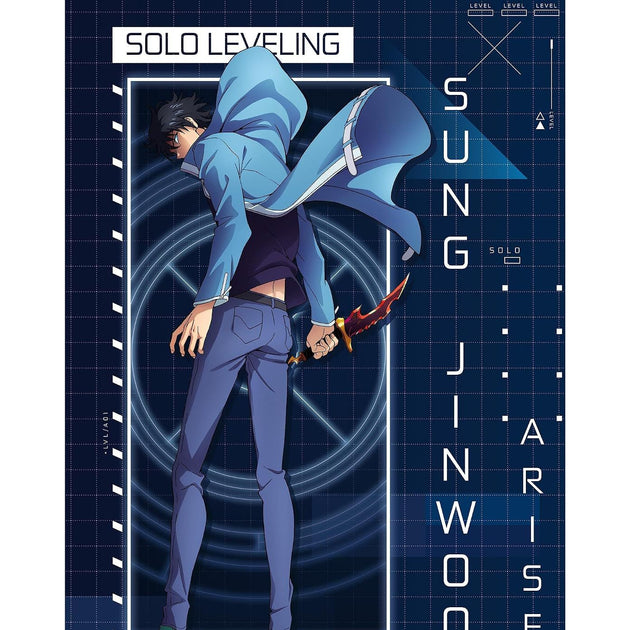 Poster Jin-Woo Arise - Solo Leveling | GB eye | Manganim