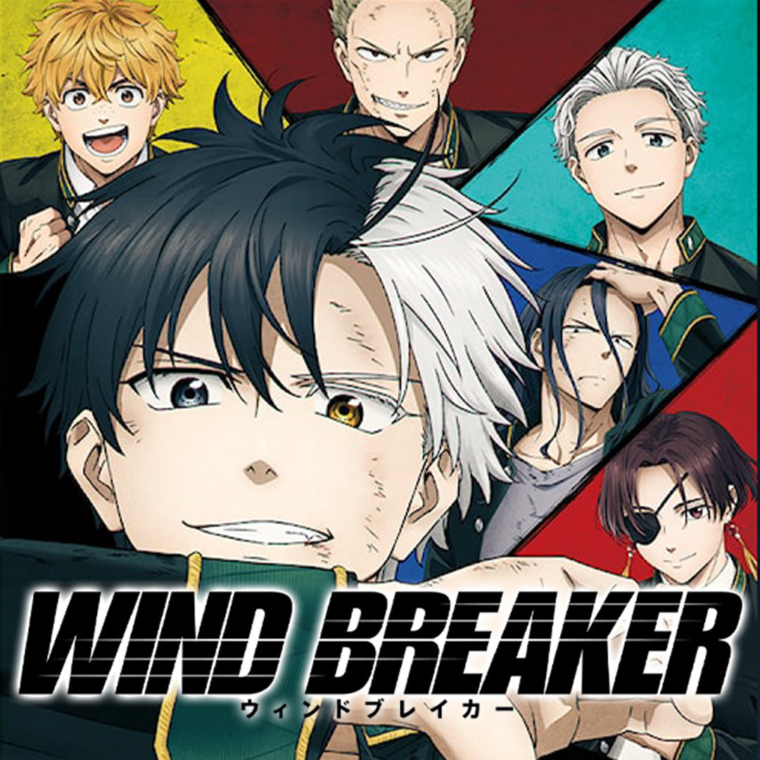 Wind Breaker - Intégrale - Tomes 1 à 15