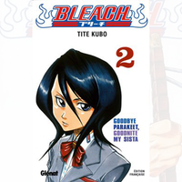 Bleach - Tome 02