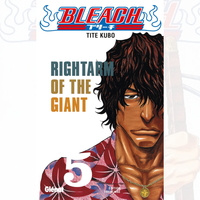 Bleach - Tome 05