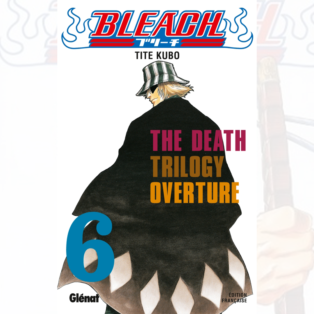 Bleach - Tome 06
