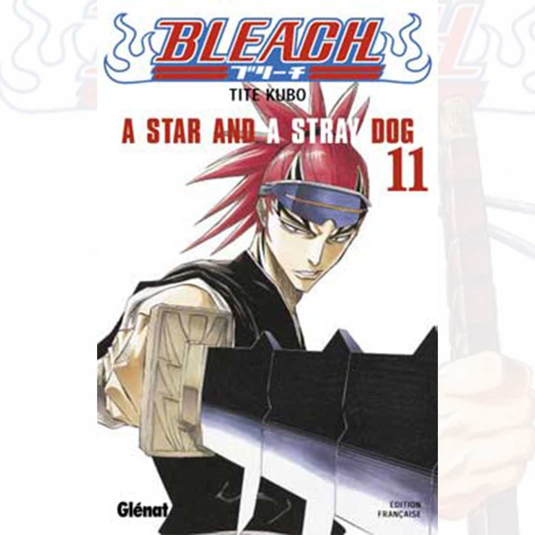 Bleach - Tome 11