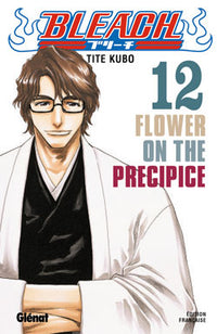 Bleach - Tome 12
