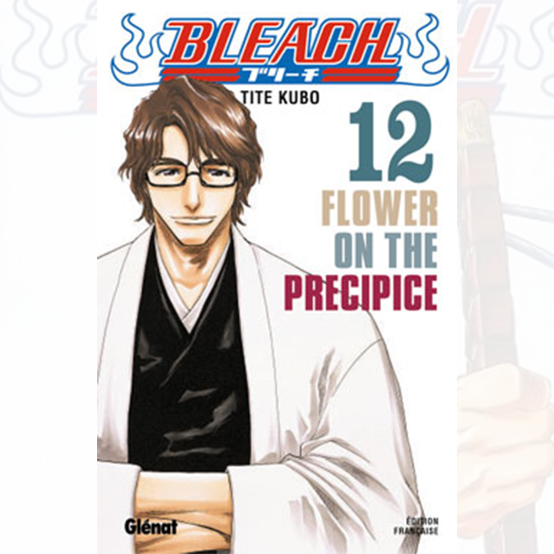 Bleach - Tome 12