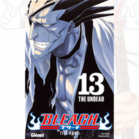 Bleach - Tome 13