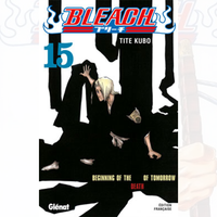 Bleach - Tome 15