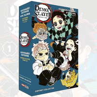 Demon Slayer - Kimetsu No Yaiba - Coffret Collector Tome 22 + Roman n°3