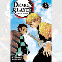Demon Slayer - Kimetsu No Yaiba - Tome 03