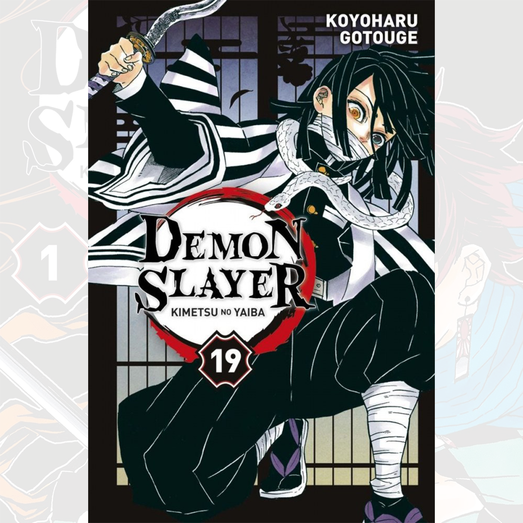Demon Slayer - Kimetsu No Yaiba - Tome 19