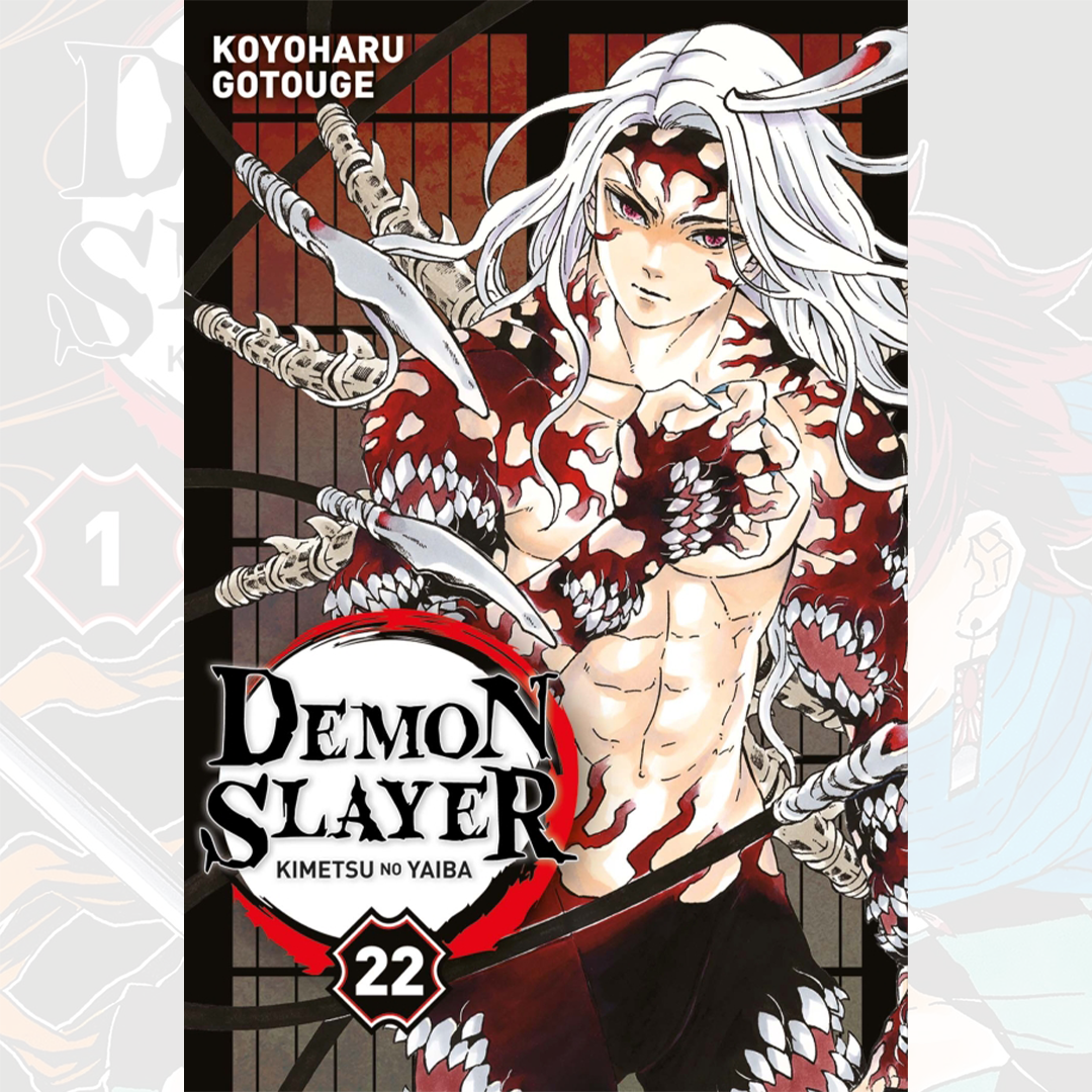 Demon Slayer - Kimetsu No Yaiba - Tome 22