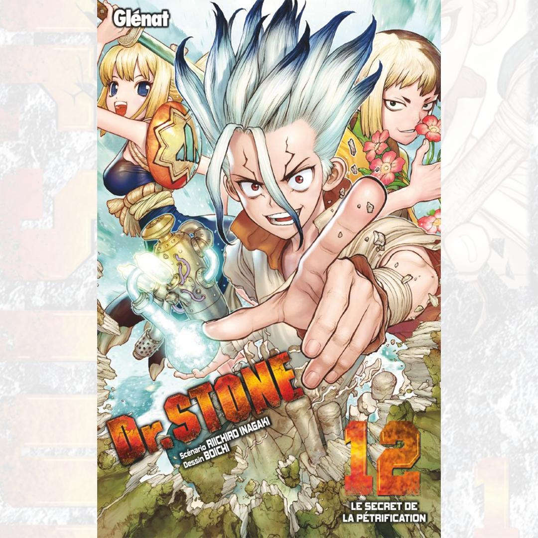Dr Stone - Tome 12