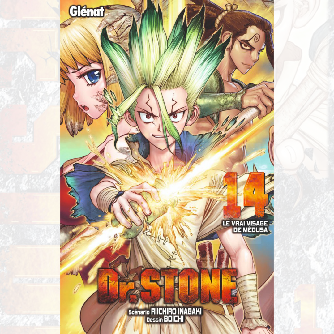Dr Stone - Tome 14