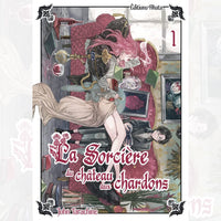 La Sorcière du Château aux Chardons - Tome 01