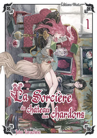 La Sorcière du Château aux Chardons - Tome 01