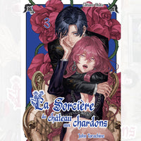 La Sorcière du Château aux Chardons - Tome 03