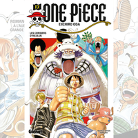 One Piece - Tome 017